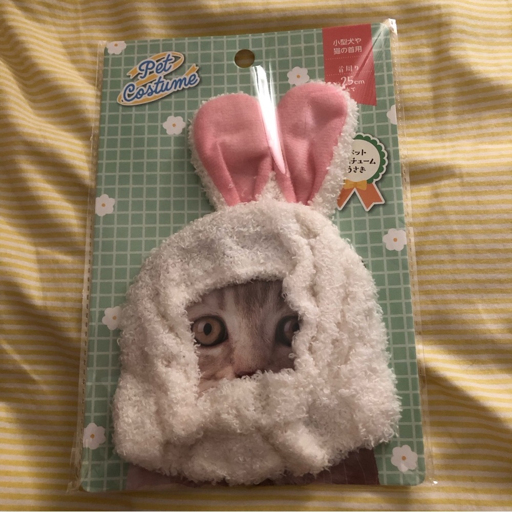 Pet costume small cat or dog white bunny ears